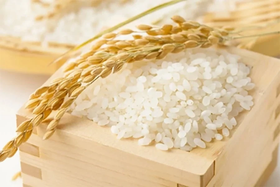 Giá lúa gạo hôm nay 12/10/2026: Trong nước ổn định, gạo xuất khẩu đi ngang
