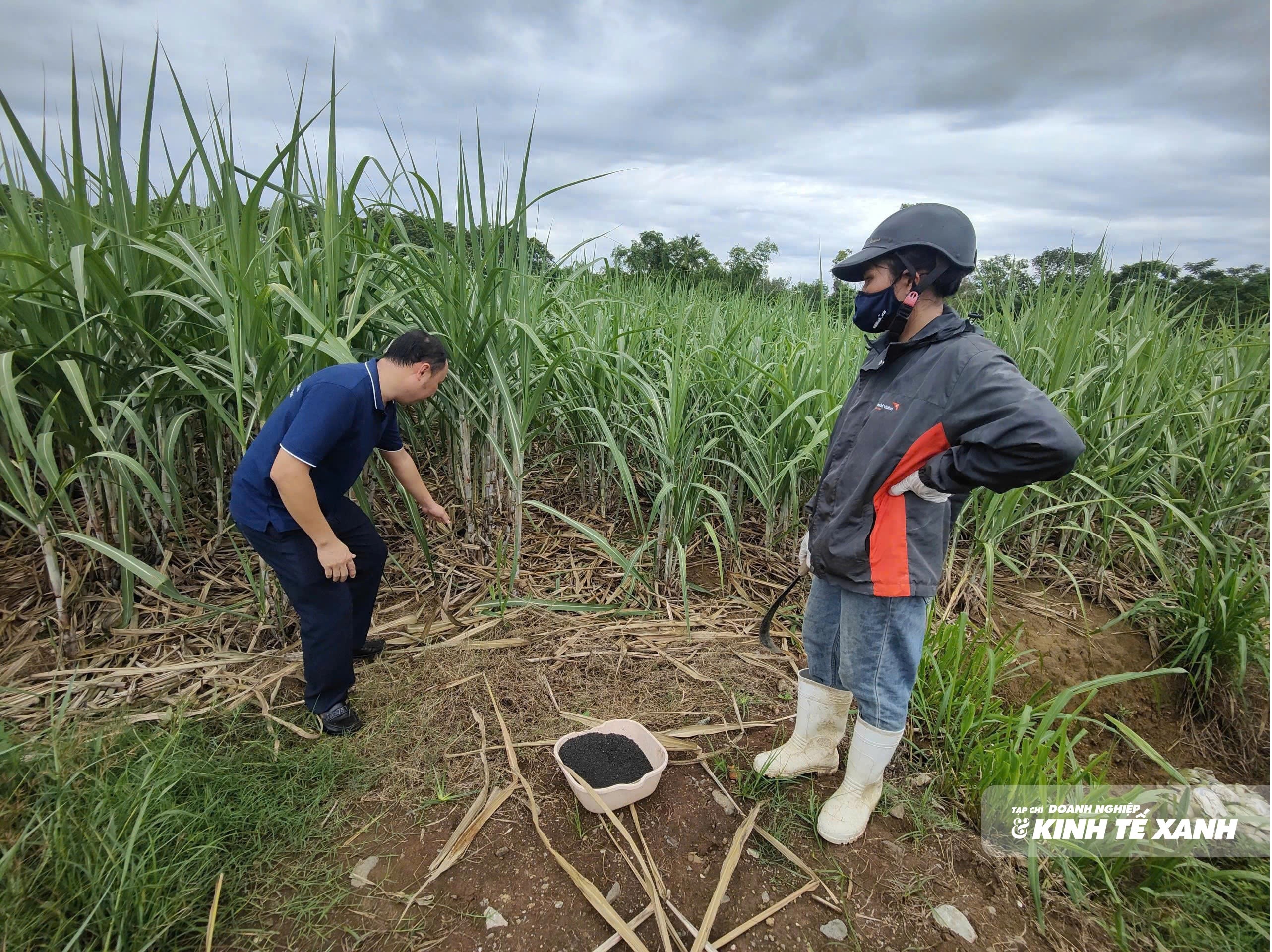mia-huu-co-1-1791940220.jpg