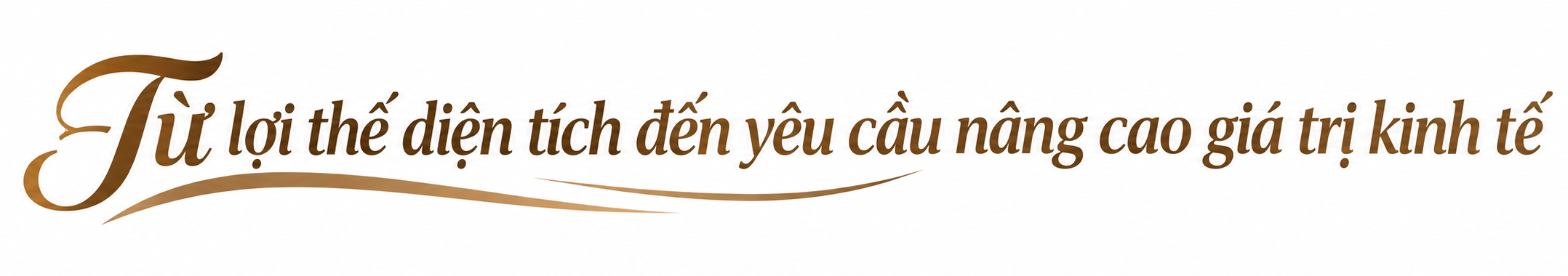 tu-loi-the-dien-tich-den-gia-tri-kinh-te-1791975138.png