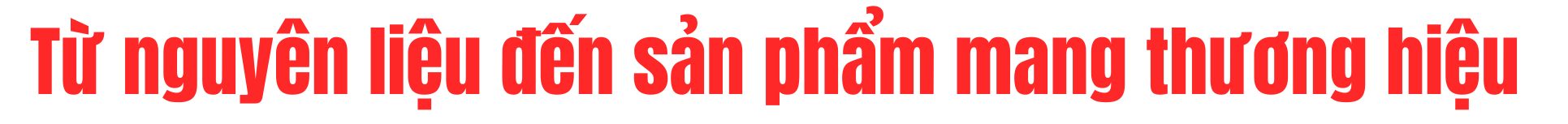 tit-2-1792078154.png