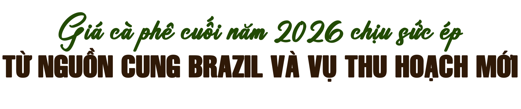 tit-3-1792119562.png