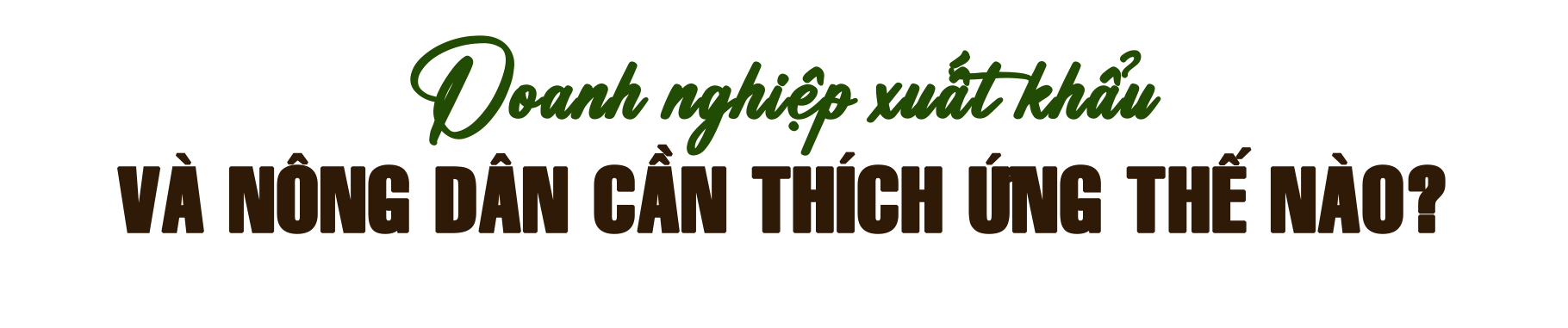 tit-5-1792119562.png