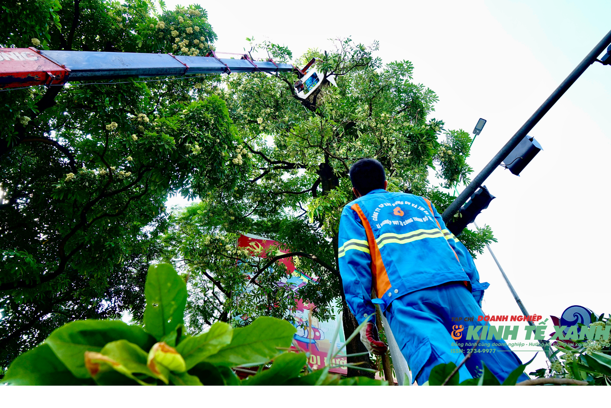 thiet-ke-chua-co-ten-25-1792221058.png