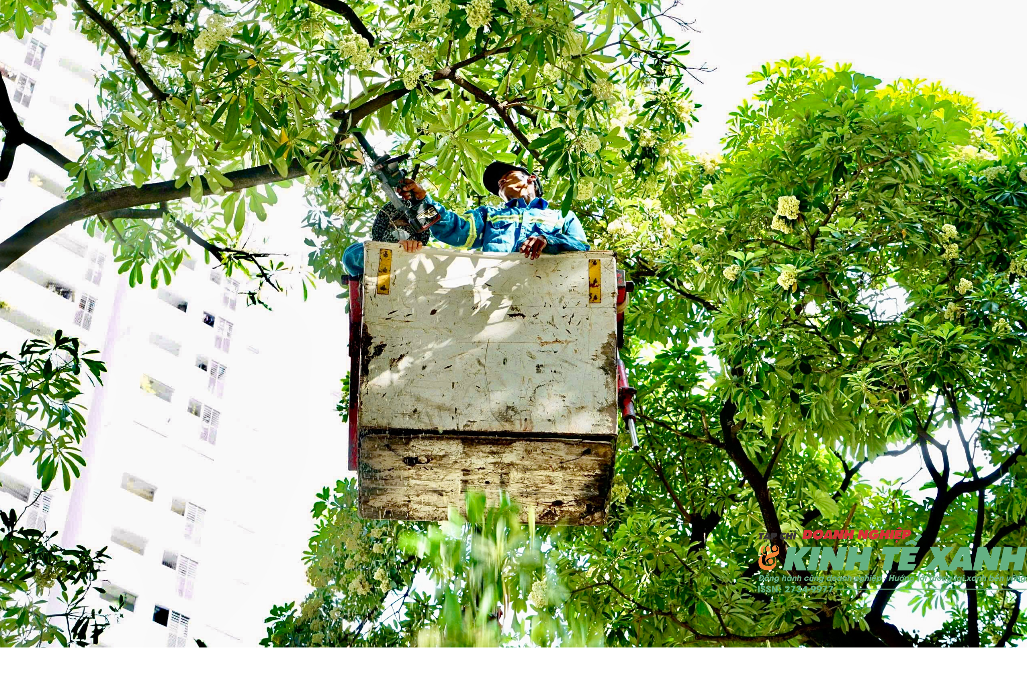 thiet-ke-chua-co-ten-26-1792221058.png
