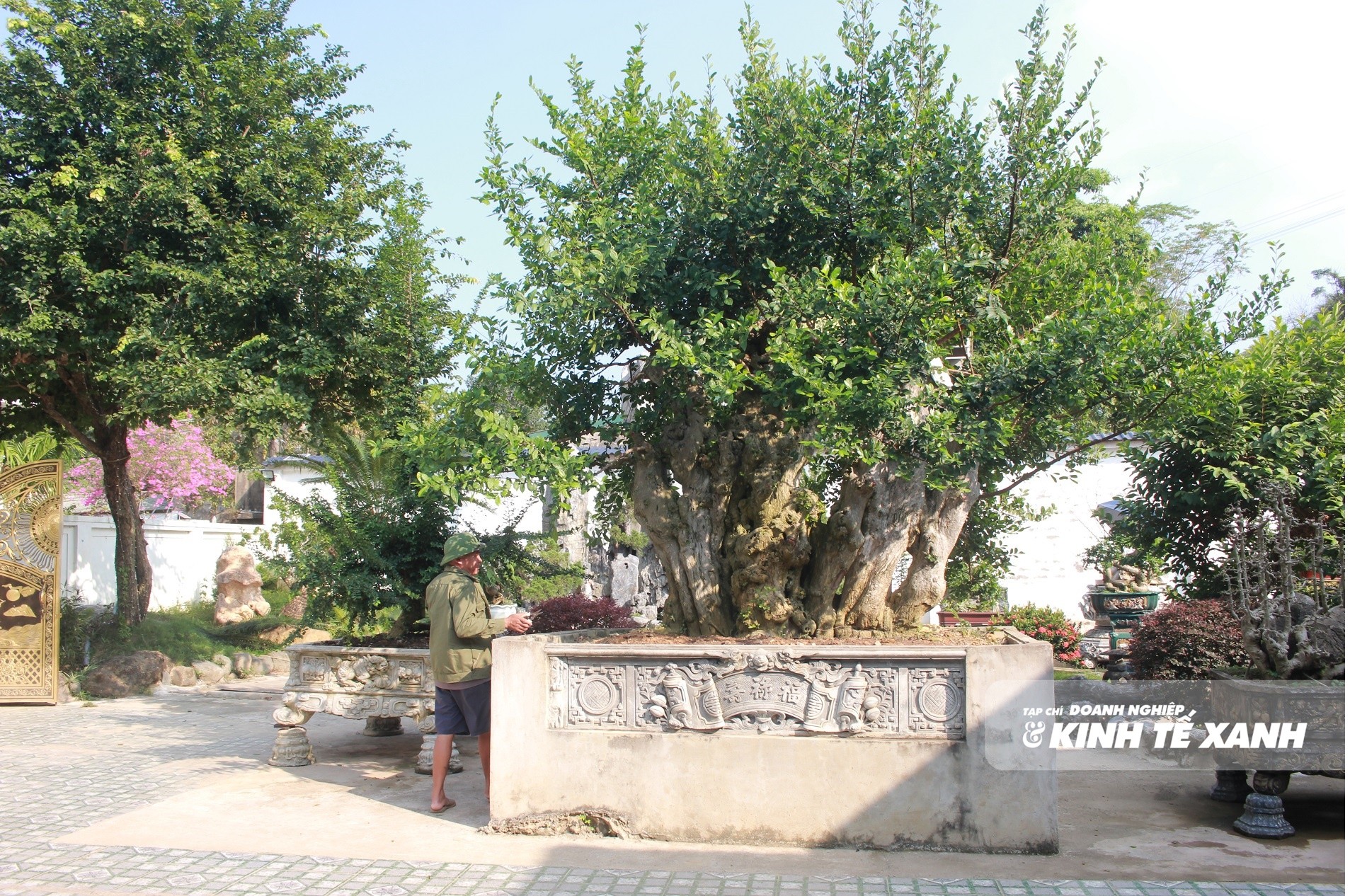 duoi-trieu-do-2-1792333372.JPG