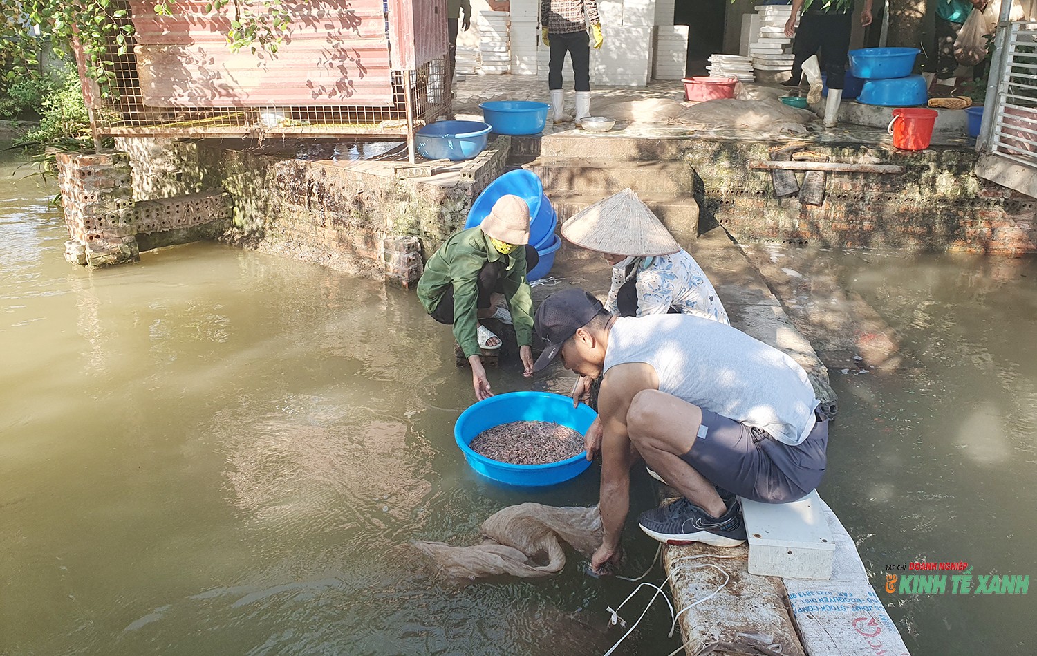 ruoi-vinh-bao1-1792500559.jpg