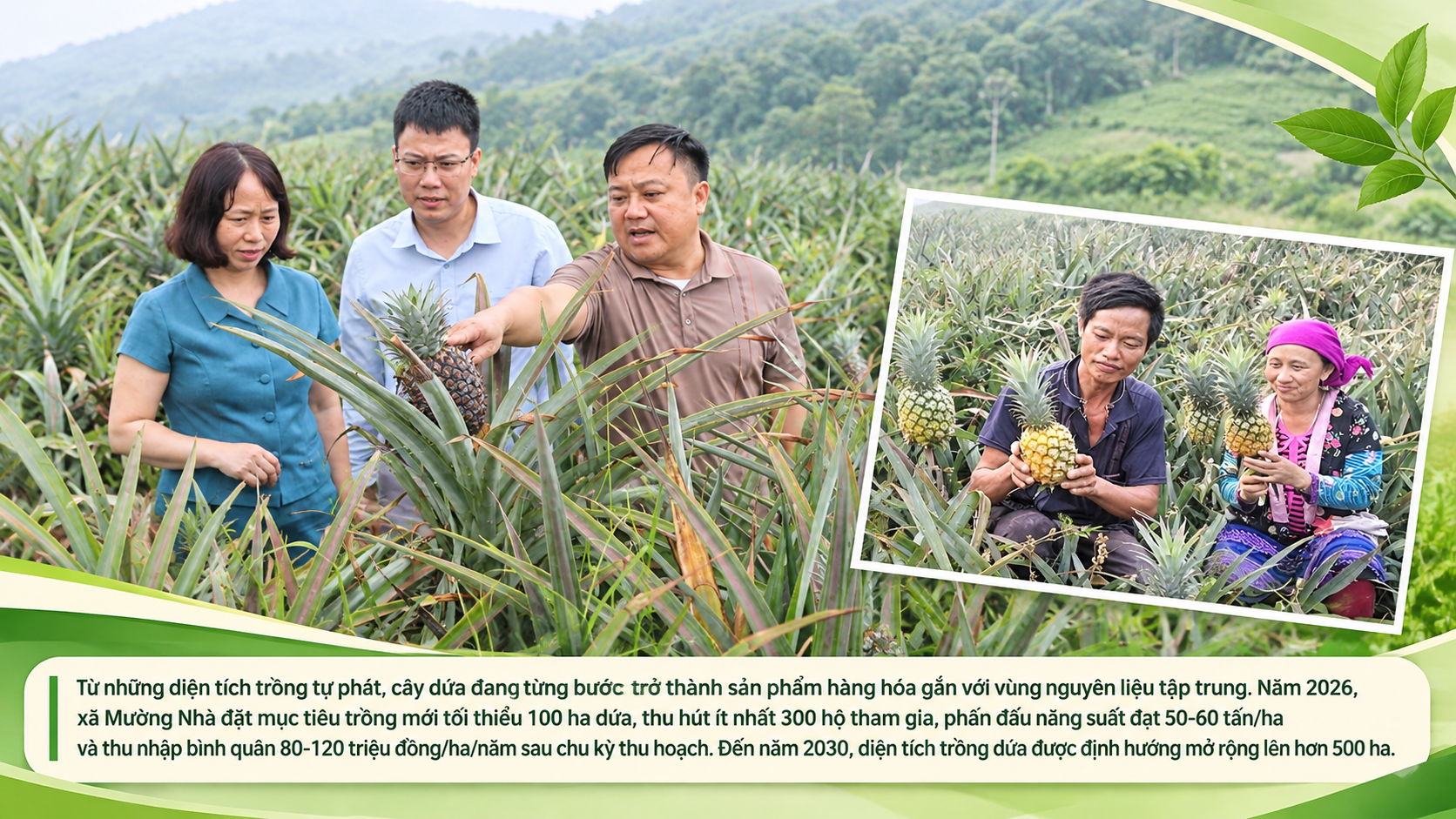 muong-nha-mo-rong-vung-dua-hang-hoa-1792728295.png