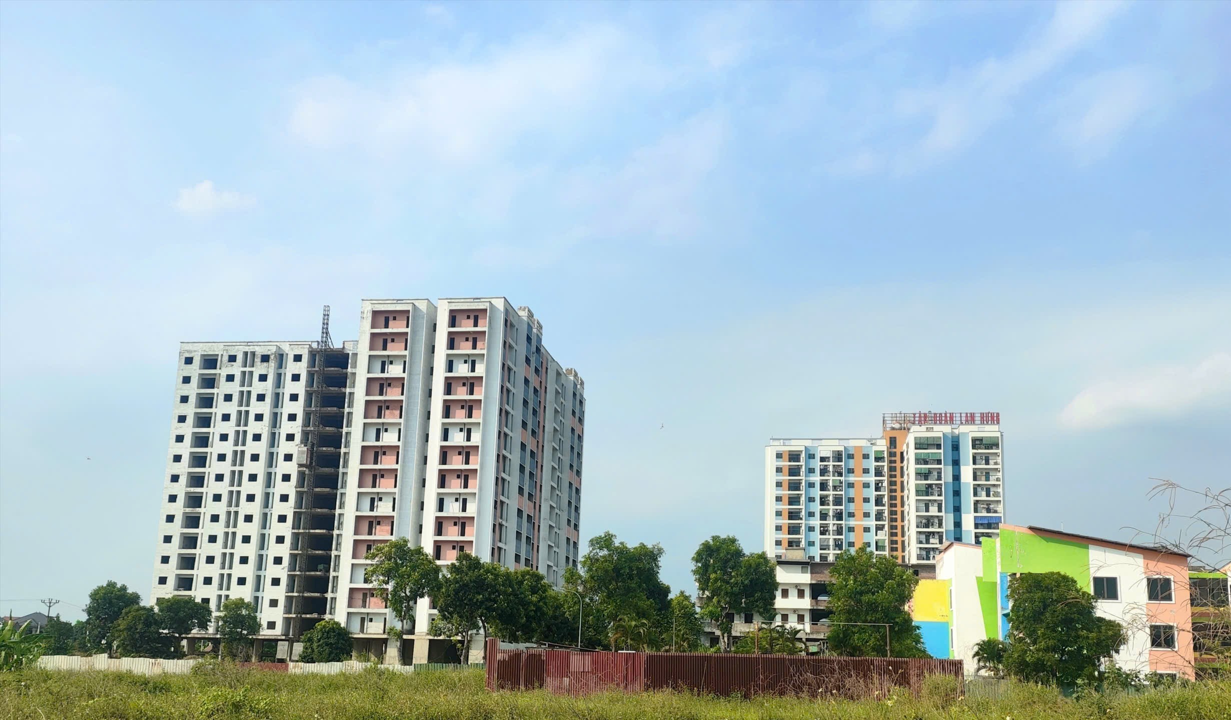 thuanh-thanh-2-1792743587.jpg