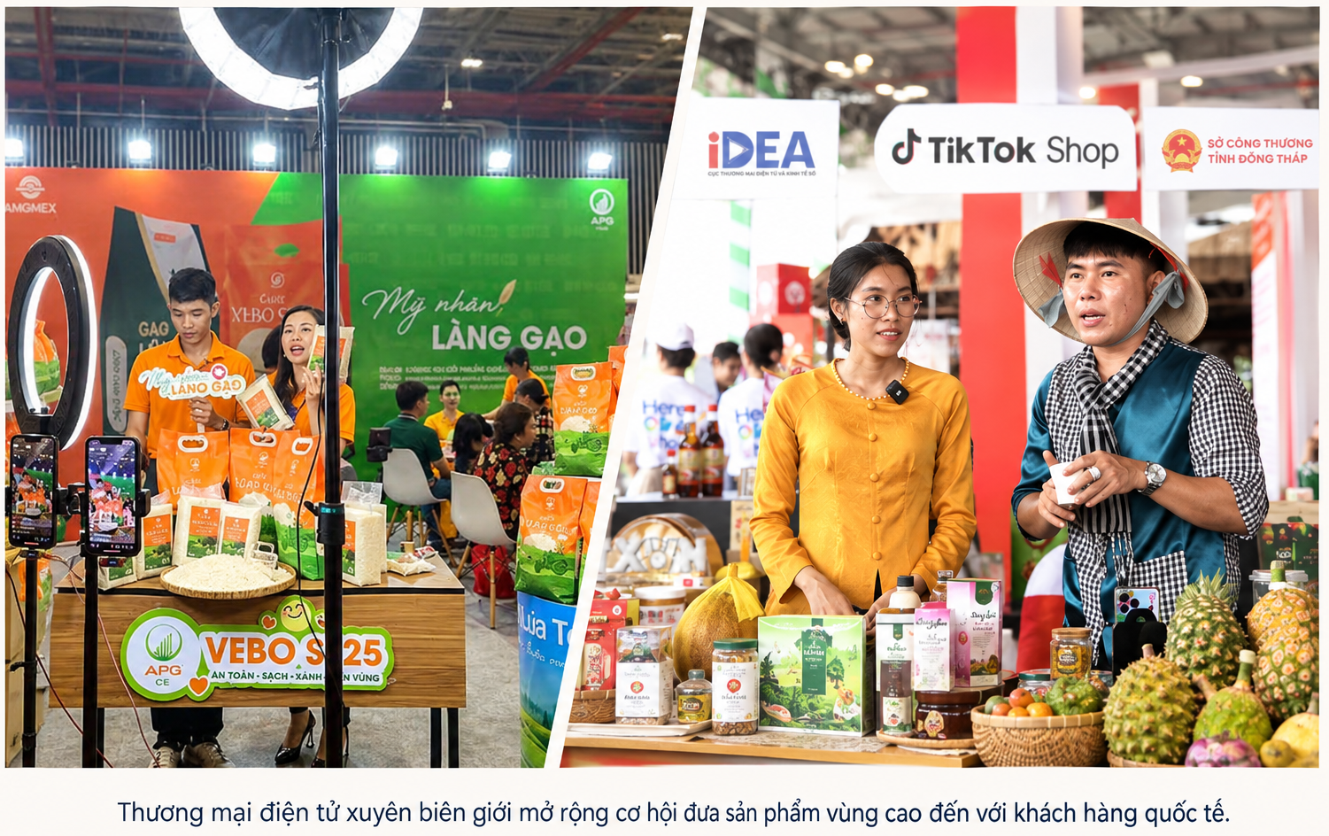trien-lam-thuong-mai-dien-tu-viet-nam-1792729660.png