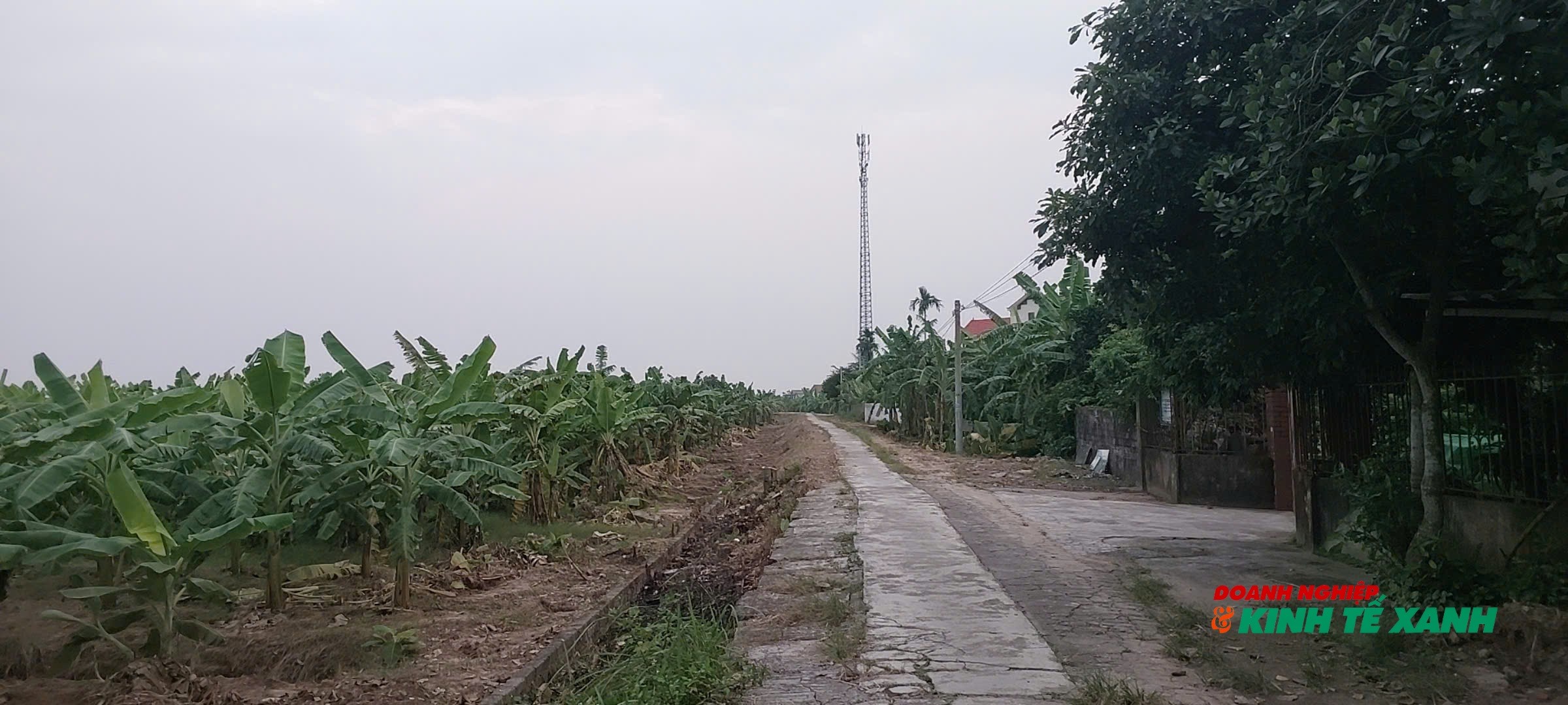 img-20261027-145424-1793087767.jpg