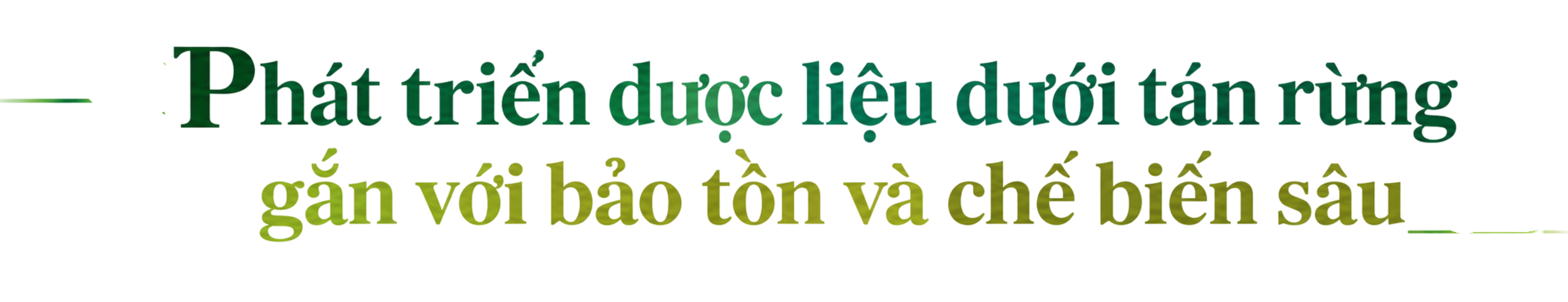 longform-2-1793080933.png