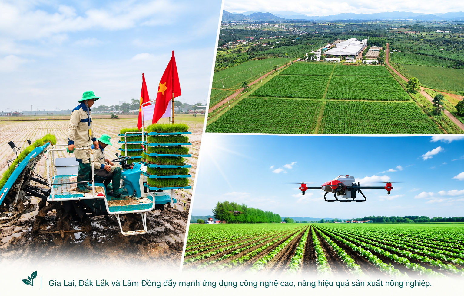 nong-nghiep-cong-nghe-cao-viet-nam-1-1793081939.png
