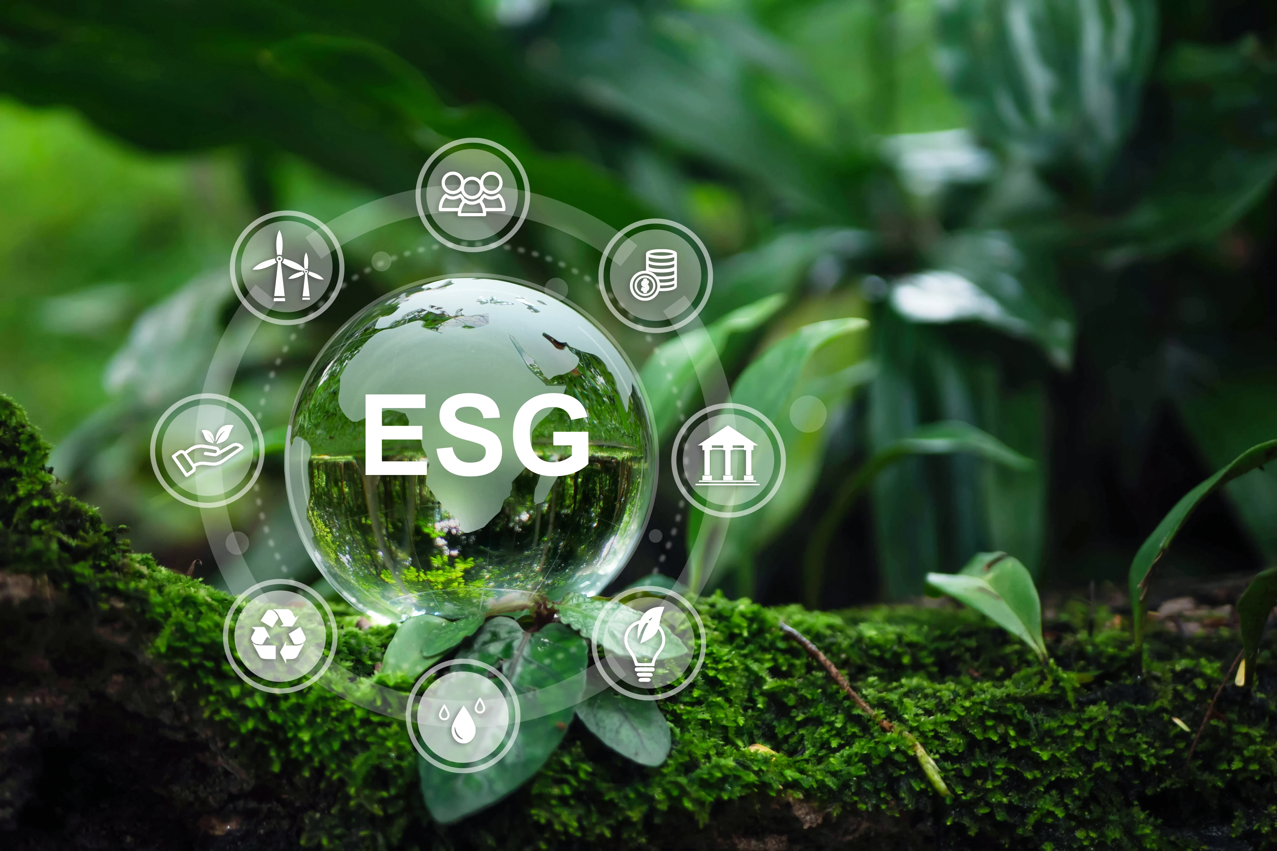 esg-8-1793148473.webp
