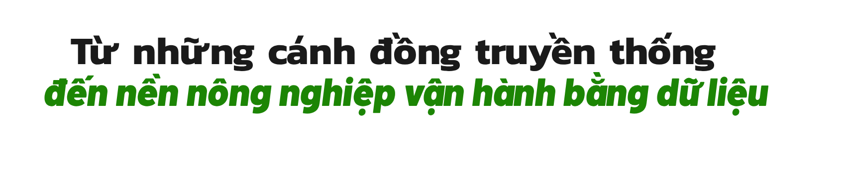 template1-1793166868.png