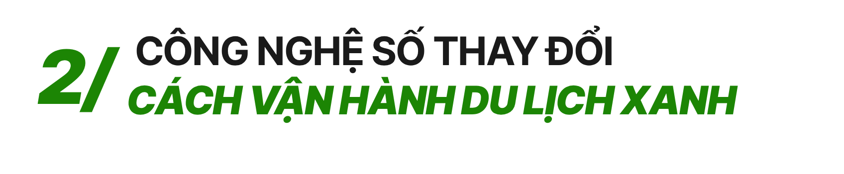 template2-1793173173.png