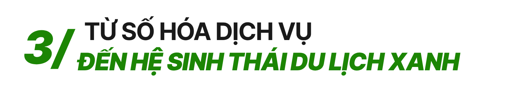 template3-1-1793173333.png
