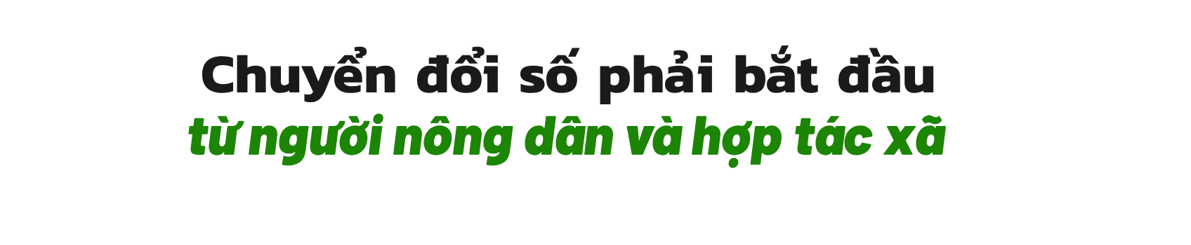 template3-1793166868.png