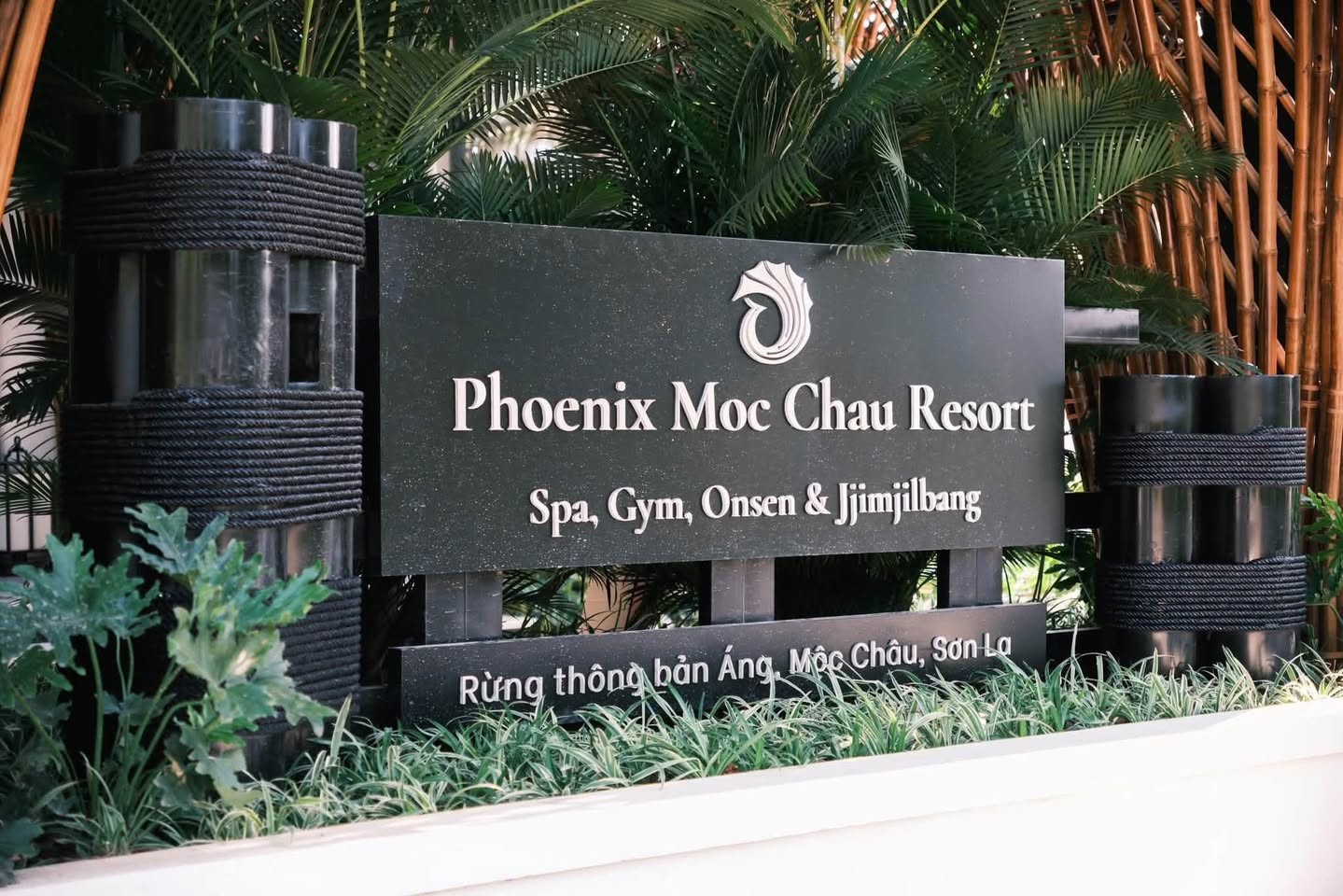 Phượng Hoàng Mộc Châu: Dấu ấn đầu tư gần 100 tỷ đồng trên cao nguyên - Ảnh 7