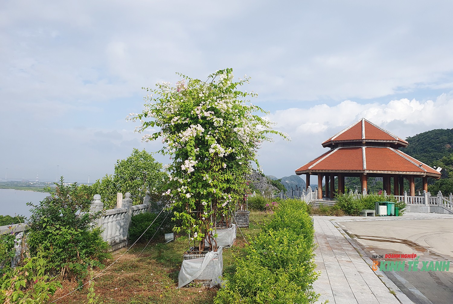 duong-cat-ba2-1793284161.jpg