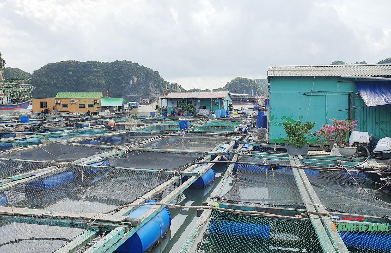 nuoi-long-be-khon-don2-1793356374.jpg