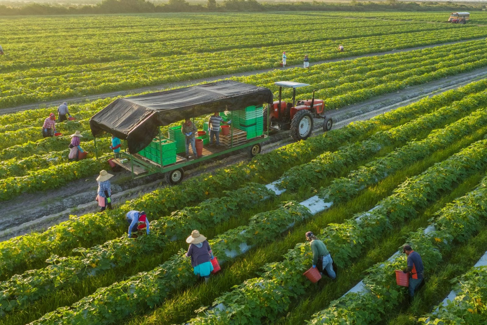 Quảng Trạch Chú trọng phát triển các mô hình kinh tế trang trại gia trại   Báo Quảng Bình điện tử