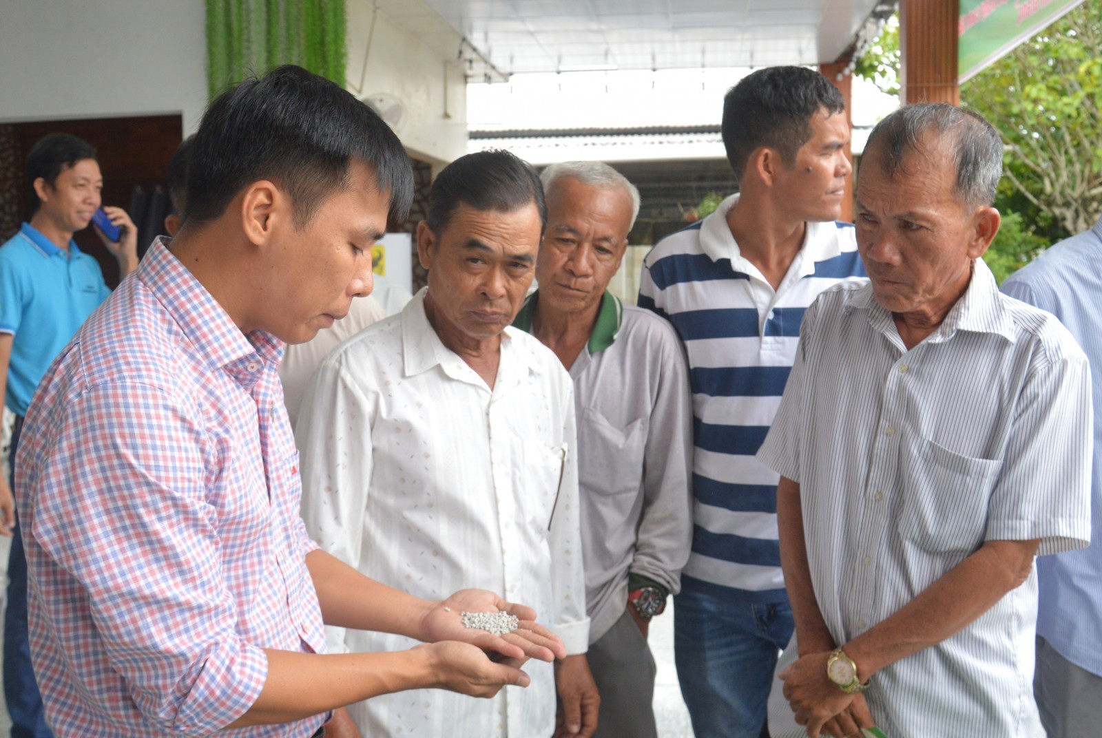 Giải pháp cải tạo đất cho vùng lúa – tôm An Giang: Hướng đến phát triển bền vững