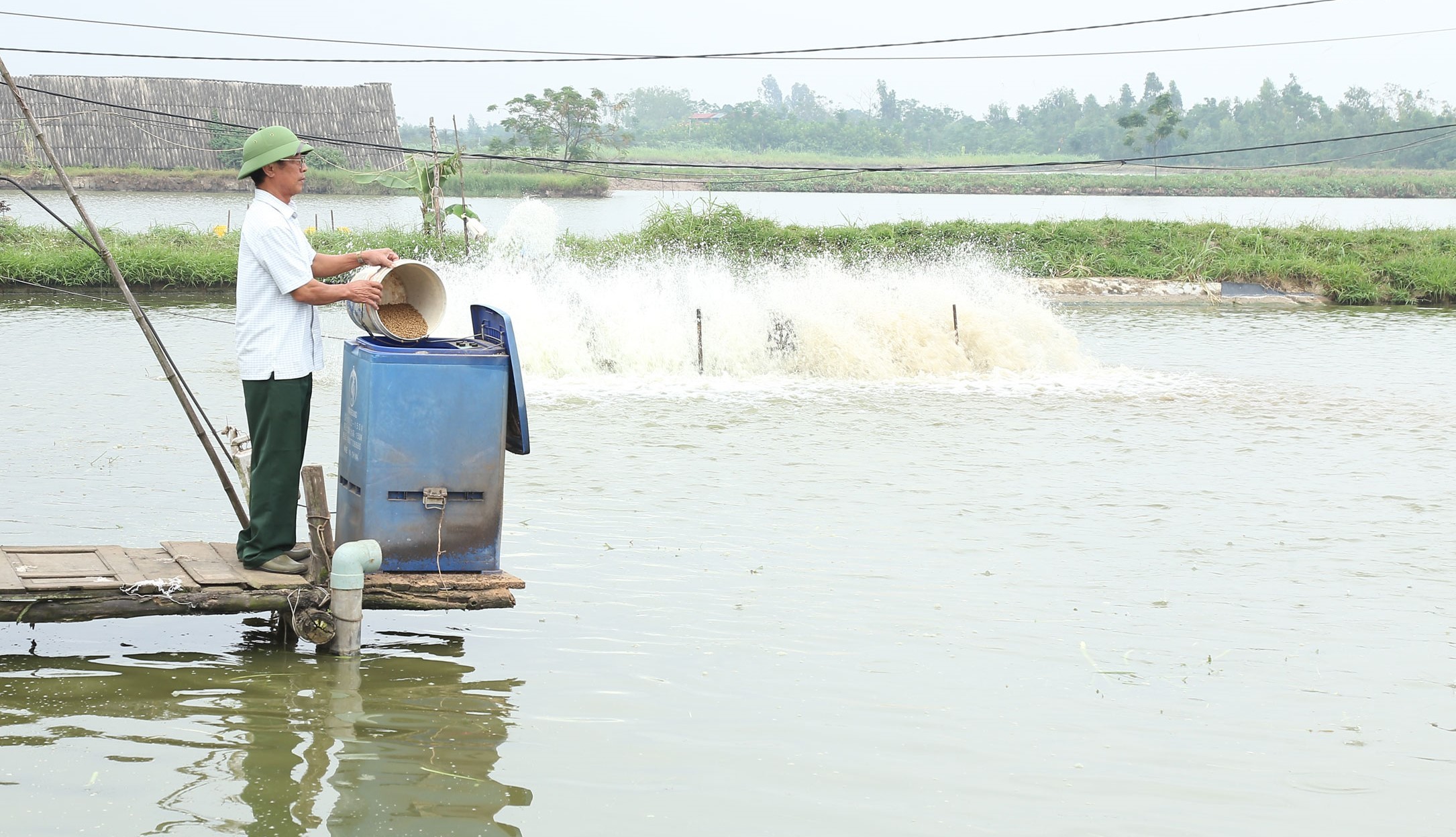 Kinh tế tuần hoàn giúp nông nghiệp xanh hơn nông sản tiến xa hơn