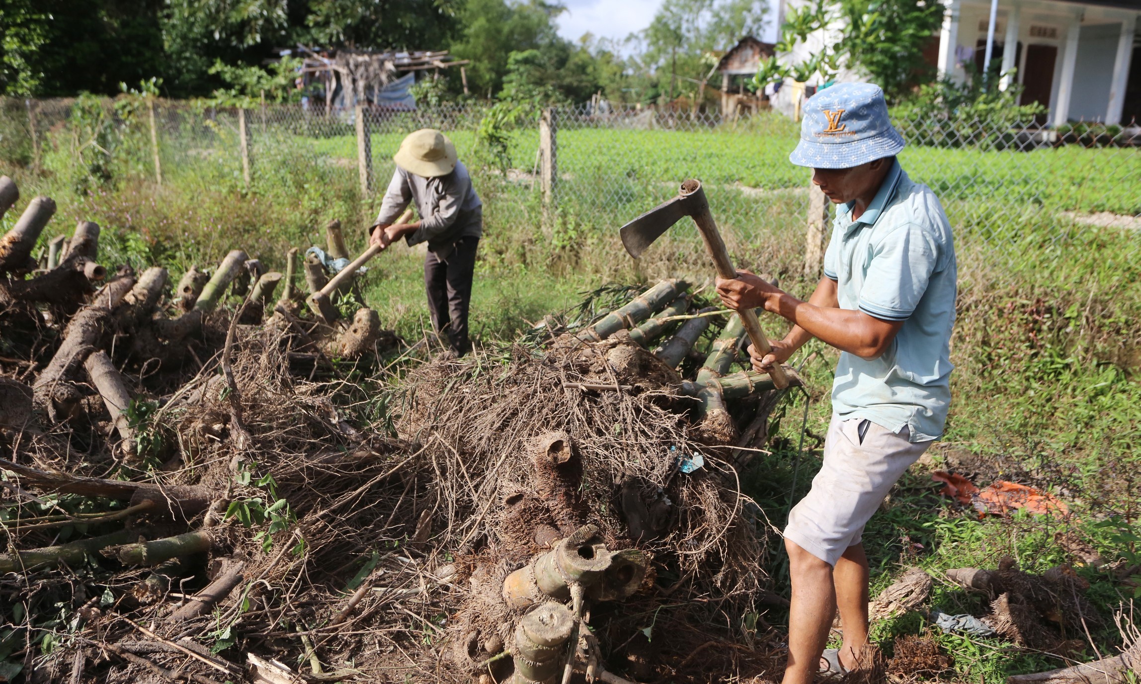 Biến gốc tre thành sản phẩm mỹ nghệ vừa có thu nhập cao và thu hút du khách