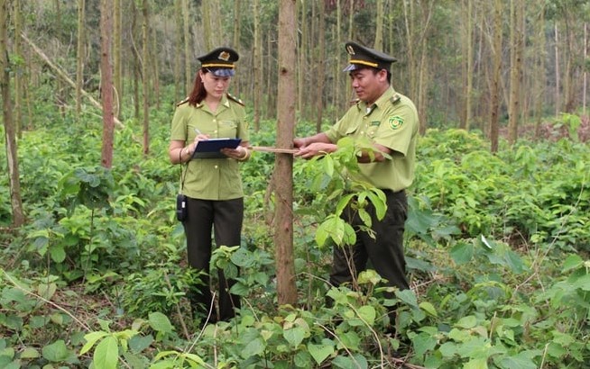 lam-nghiep-bac-giang-01-1715909278.jpg