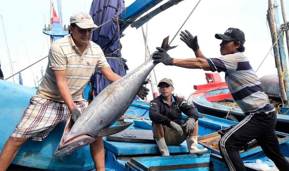 Hàn Quốc hỗ trợ Việt Nam trong nỗ lực gỡ thẻ vàng IUU, phát triển thủy sản bền vững