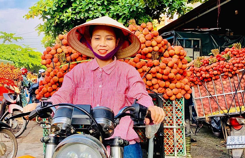 Vải thiều cuối vụ đắt hơn sầu riêng, thương lái Trung Quốc vào tận vườn tìm mua