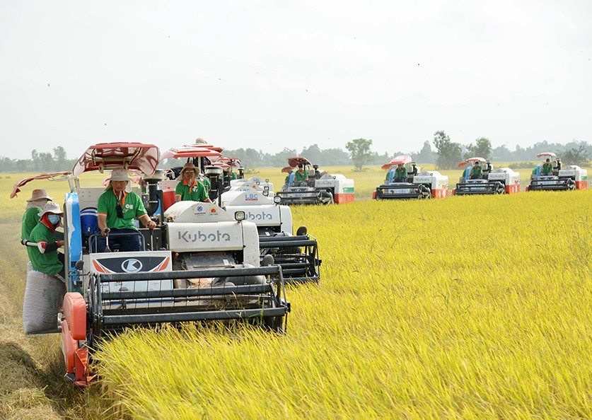 Bước đột phá từ mô hình sản xuất lúa gạo phát thải thấp gắn với tăng trưởng xanh ở An Giang