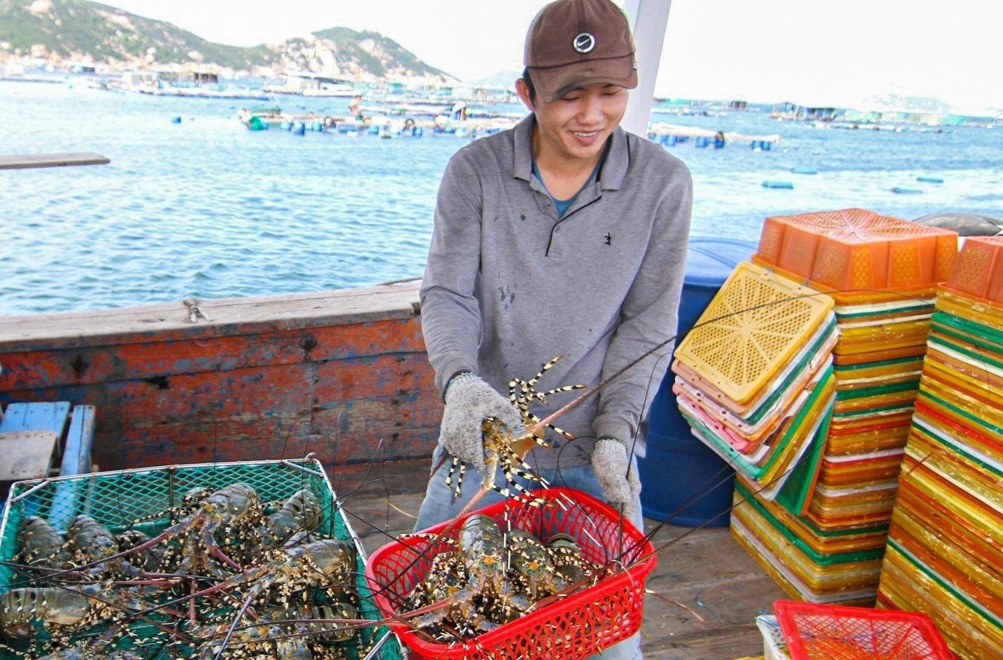 Khánh Hòa lần đầu tiên tổ chức lễ hội tôm hùm với chủ đề “Vịnh xanh bừng sáng”