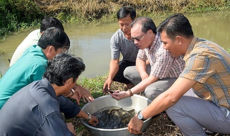 Cà Mau 'ra quân' ngăn chặn đánh bắt cá non để bảo vệ nguồn lợi cá đồng