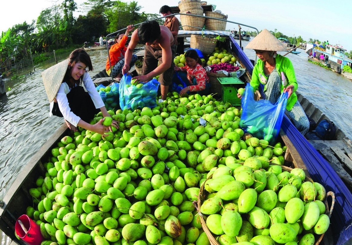 Nông sản vùng ĐBSCL chưa tạo được lợi thế cạnh tranh xuất khẩu do đối mặt với nhiều trở ngại