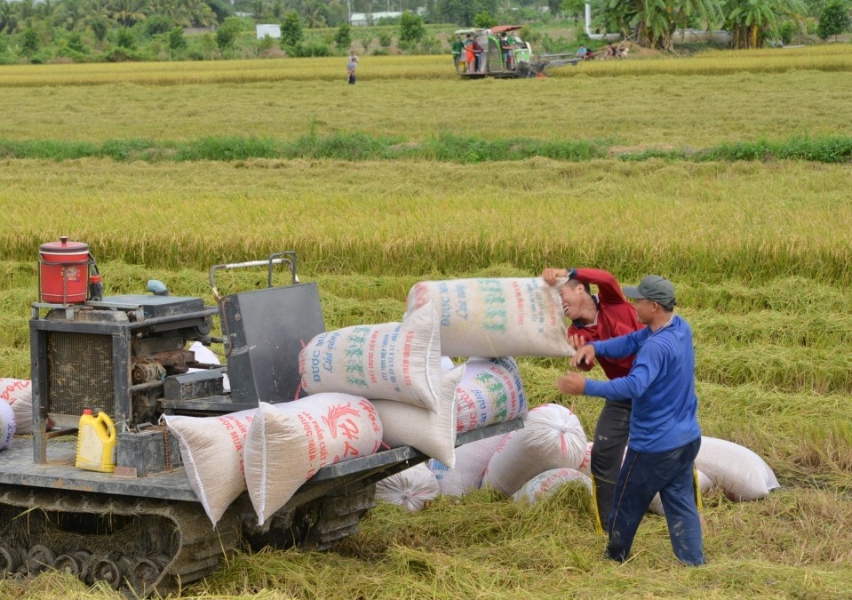 Phó Thủ tướng: 'Nông nghiệp bảo đảm vững chắc an ninh lương thực quốc gia và duy trì xuất khẩu'