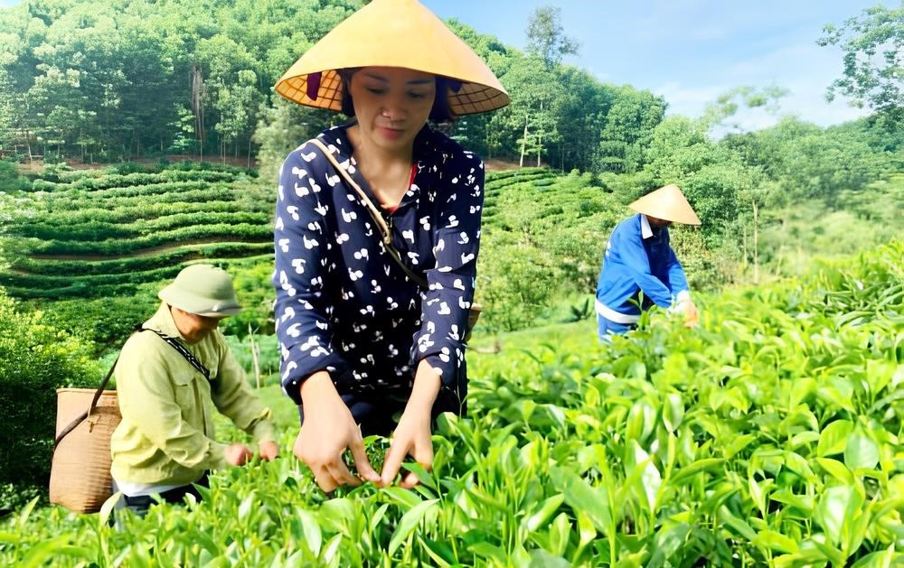 Xanh hóa ngành nông nghiệp – Làn gió mới trong kinh tế nông thôn