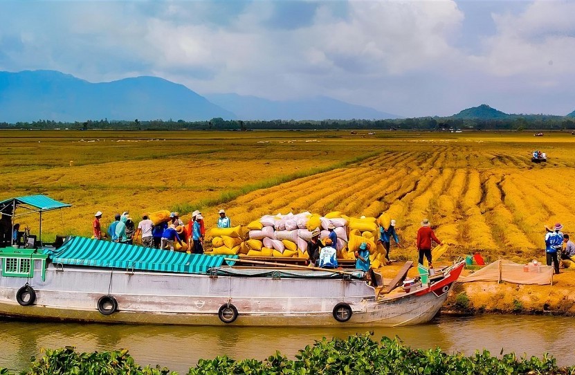 Vùng Tây Nam Bộ xuất khẩu tăng mạnh, trong 7 tháng đạt mức 15,7 tỷ USD