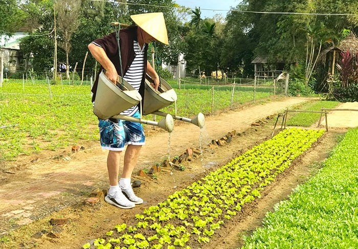 Phát triển du lịch nông nghiệp, nông thôn tạo giá trị mới từ những điều kiện sẵn có