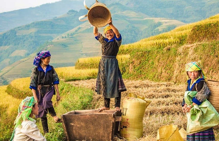 Du lịch nông thôn phải gắn với các sản phẩm du lịch đặc sắc bắt nhịp xu thế và thị hiếu của du khách