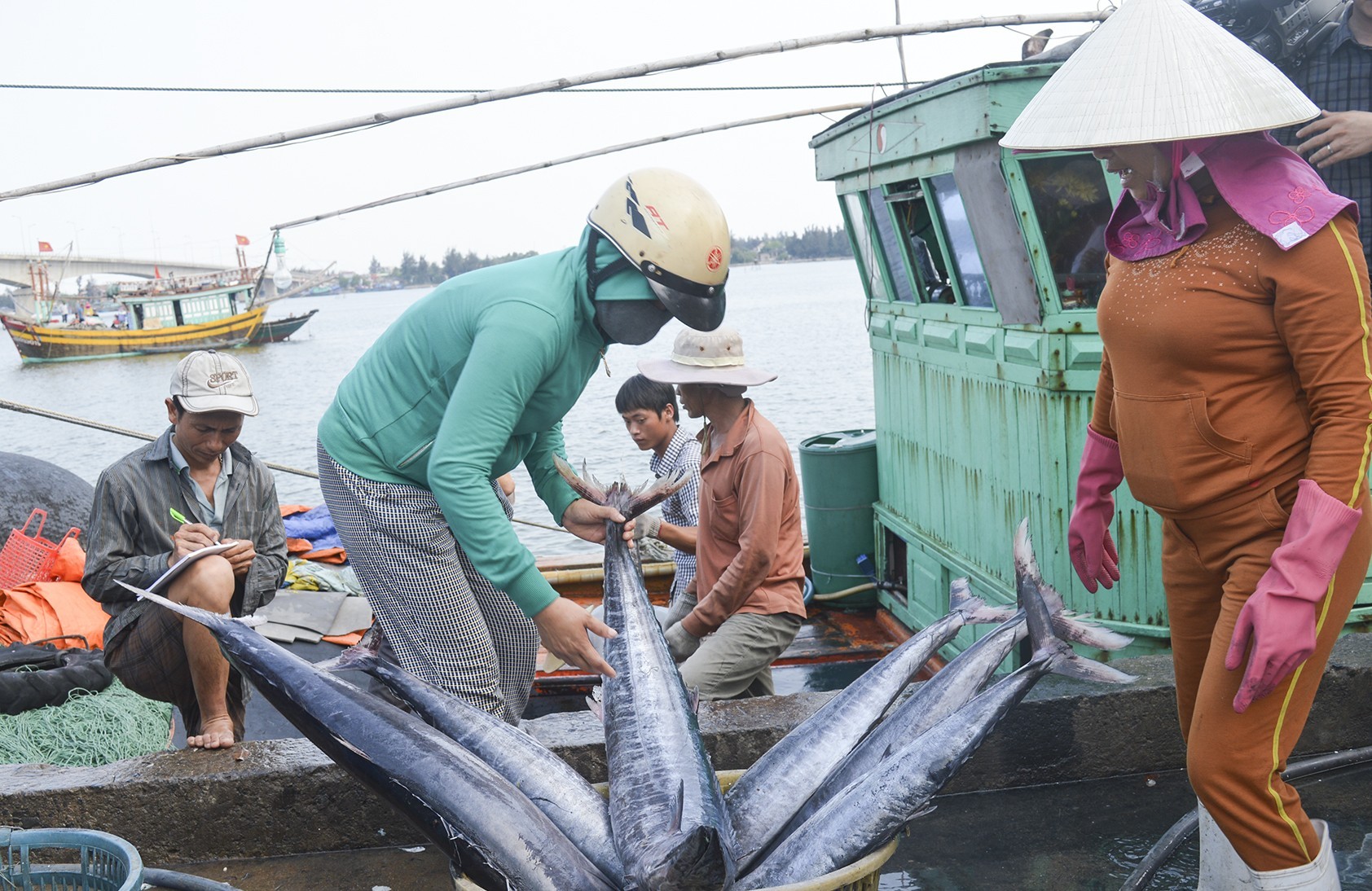 chuyen-doi-nghe-ngu-dan-3-1735471670.jpg