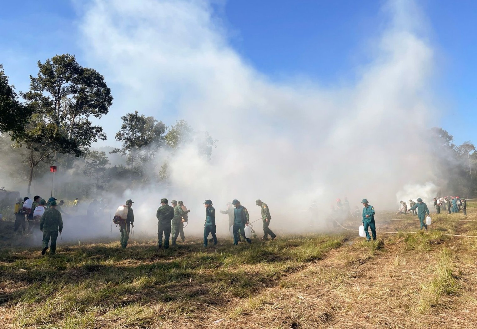 tay-ninh-phong-chay-rung-3-1739365889.jpg