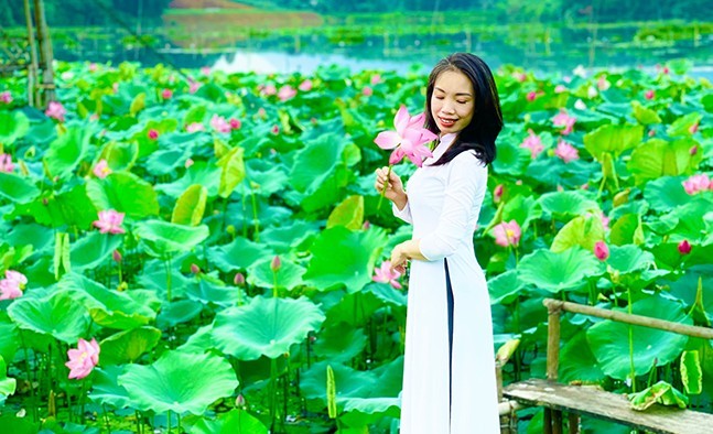 trong-sen-thu-hut-du-khach-2-1745674640.jpg