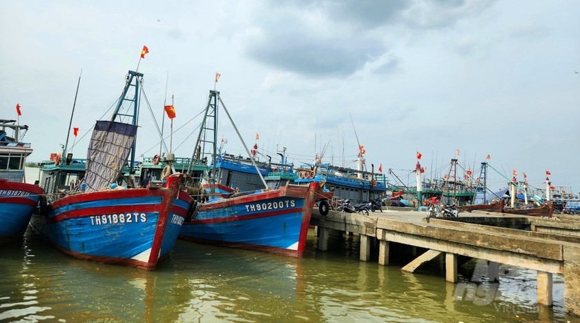 Thanh Hóa cùng cả nước gỡ “thẻ vàng” IUU - Bài 1: Quyết tâm cao, nỗ lực lớn tạo sự chuyển biến trong ngư dân