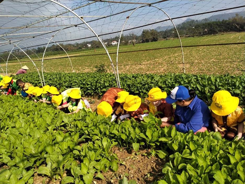 Nghị quyết “tam nông” từ lý luận đến thực tiễn – Bài 1: Khi chính sách bắt nhịp cùng cuộc sống vùng cao