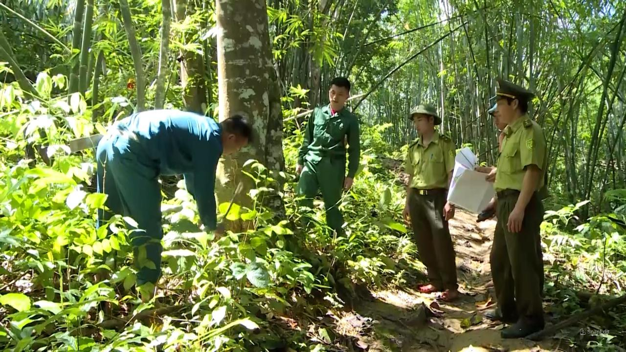 Thanh Hóa phát huy nguồn lực dịch vụ môi trường rừng gia tăng sinh kế người trồng rừng