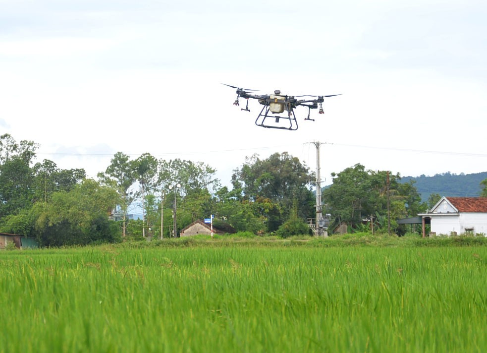 Thanh Hóa tập trung phòng trừ sâu bệnh cho lúa Thu Mùa 2024