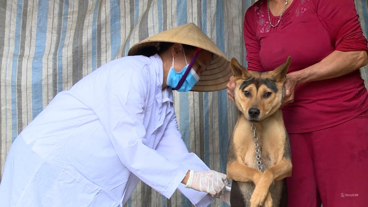 Thanh Hóa tăng cường phòng, chống dịch bệnh trên đàn vật nuôi