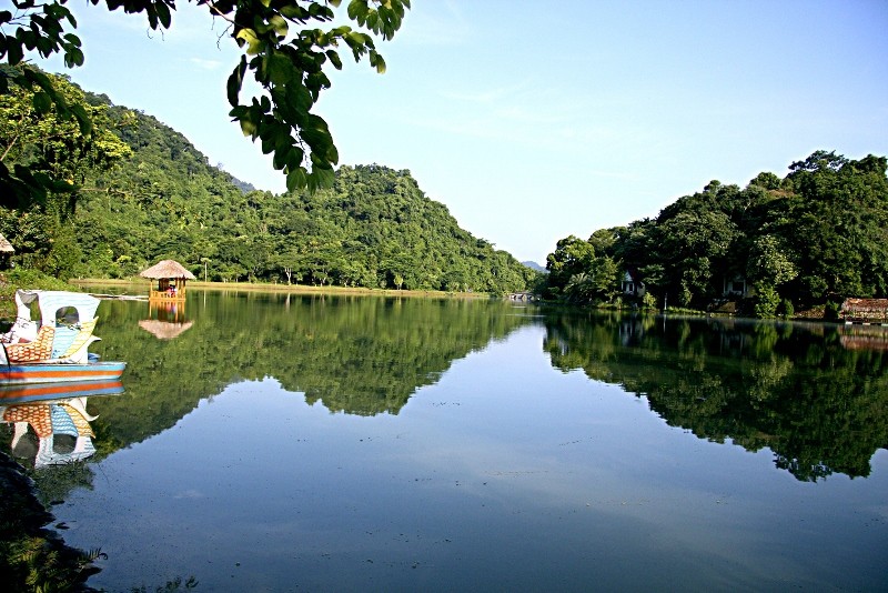 Về với đại ngàn