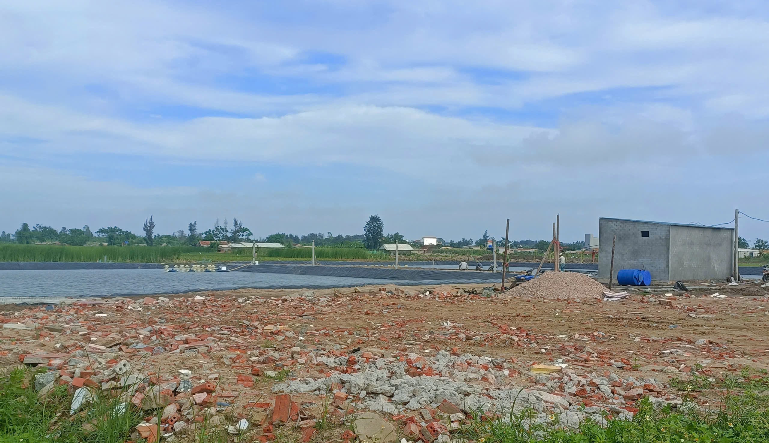 Nhiều hộ dân, doanh nghiệp đang lợi dụng việc chuyển đổi đất lúa kém hiệu quả để vi phạm pháp luật